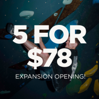 6 Month Promo