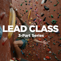 Lead Series
